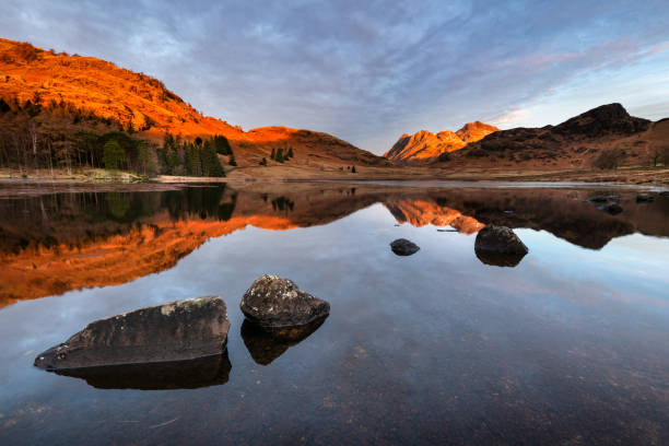 Winter Sunrise Reflections At Blea Tarn, Lake District, UK. Reflections in lake at sunrise on a Winter morning at Blea Tarn in the Lake District. Scenic landscapes of rural Britain. Nature backgrounds. langdale pikes stock pictures, royalty-free photos & images