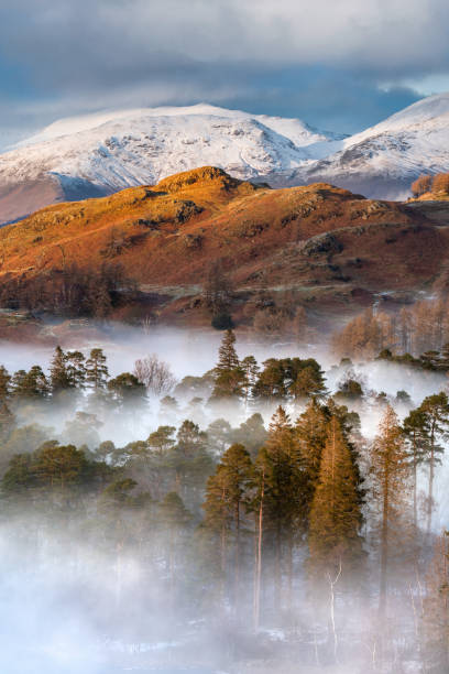 Misty Trees With Snowcapped Mountains, Lake District, UK.