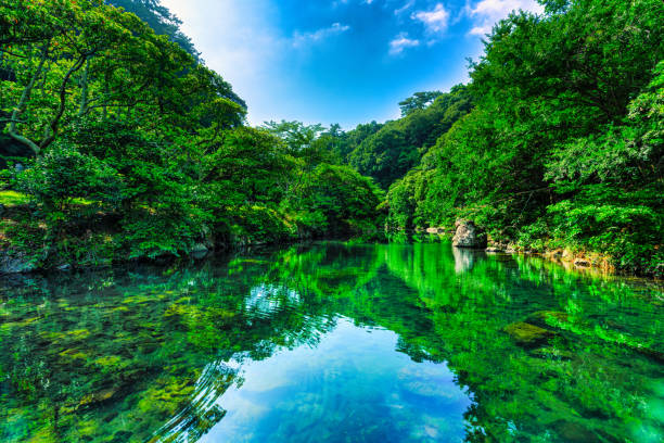 istock Cheonjiyeon Falls in Jeju Island 1614503399