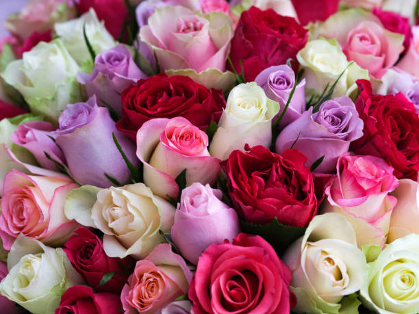 istock Large bouquet of beautiful multicolored roses. Full flame. 1614504494