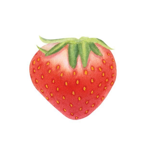 istock Juicy ripe strawberry isolated on white background. Watercolor hand drawn illustration. For advertising, packaging, menus, invitations, business cards, postcards, print 1614512455