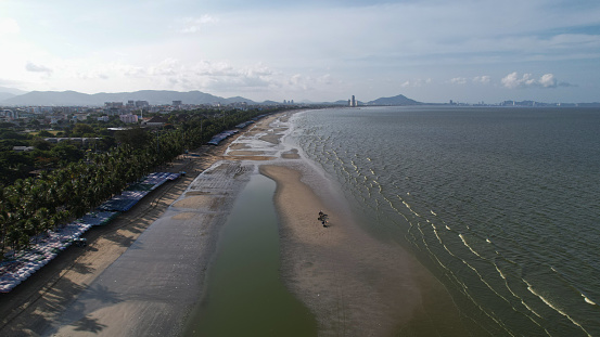 Environment Green Sea from plankton on Bangsean Beach of Thailand