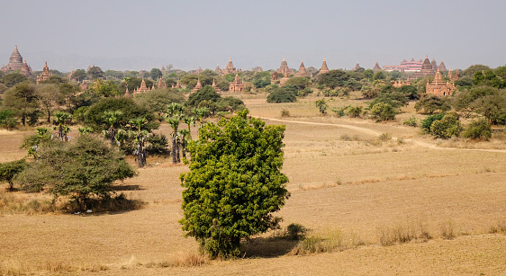 View of Ancient Buddhist temples with dried fields at sunny day in Bagan, Myanmar. Bagan is an ancient city in central Myanmar (formerly Burma), southwest of Mandalay.