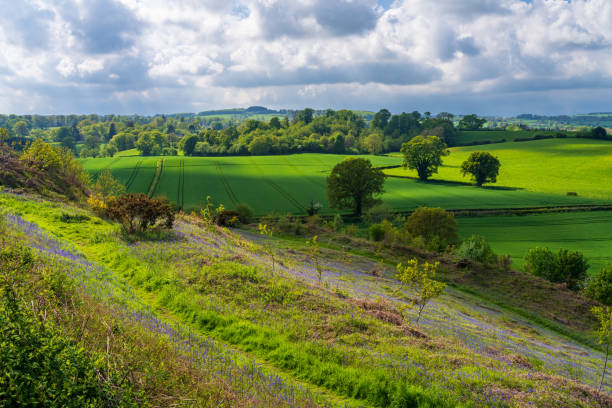istock Bluebells by the path on Old Oswestry hill fort in Shropshire 1614559277