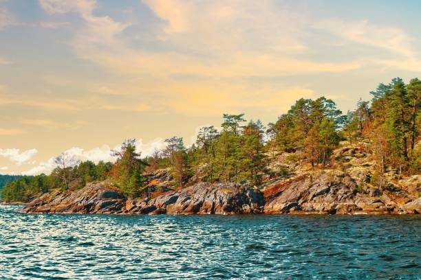 istock Island on the lake 1614565753
