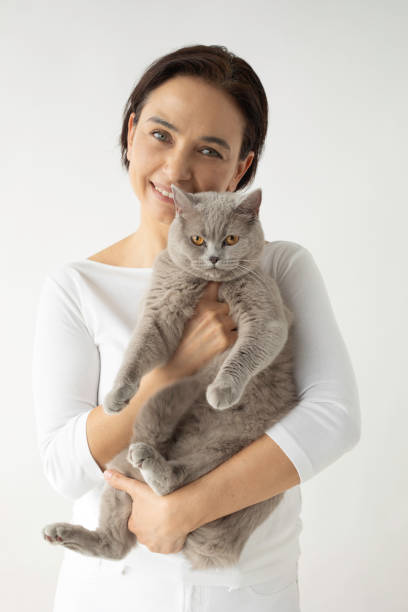 istock Woman And British Shorthair 1614616324