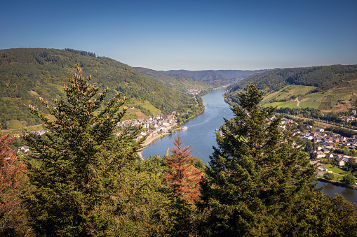 Spectacular, breathtaking panoramic view from the Prizenkop tower of the Moselle loop, the Moselle valley from Reil to the Bremmer Calmont, Zeller Hamm, the Hunsrück heights and the Kondelwald forest.
