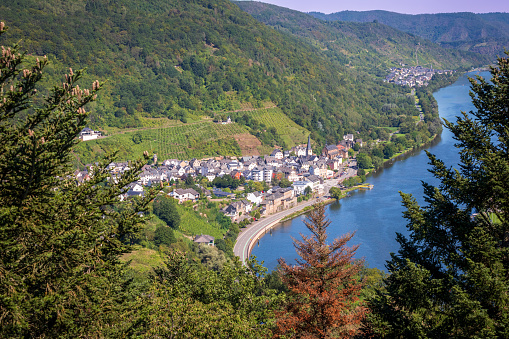 Spectacular, breathtaking panoramic view from the Prizenkop tower of the Moselle loop, the Moselle valley from Reil to the Bremmer Calmont, Zeller Hamm, the Hunsrück heights and the Kondelwald forest.