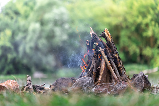 Close up of burning brushwood campfire on forest ground on blurred background of trees and grass, copy space.