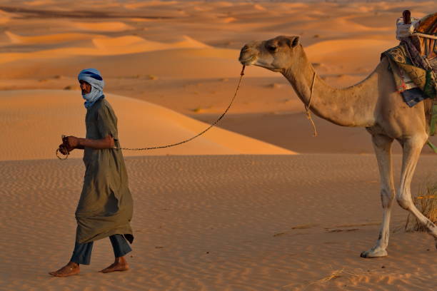 A dusk of sand dune at Mhamid el Ghizlane in Morocco wide shot. High quality photo. Zagora district Mhamid el Ghizlane Morocco 03.06.2024 Here is a desert area in Morocco.