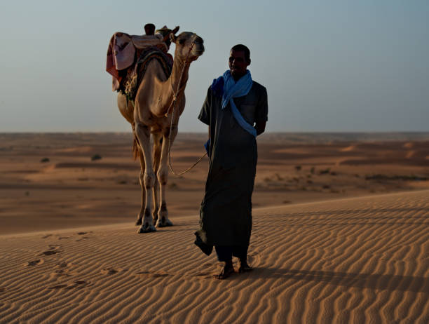 Horizon camels line