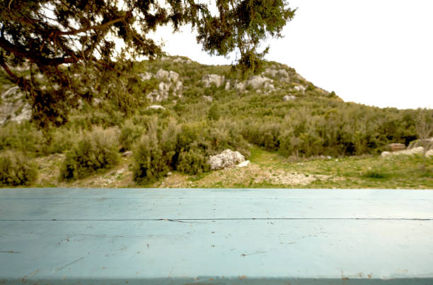 Empty Wooden Table with Defocused Green Lush Foliage at Background