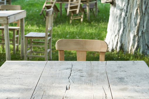 Empty Wooden Table with Defocused Green Lush Foliage at Background