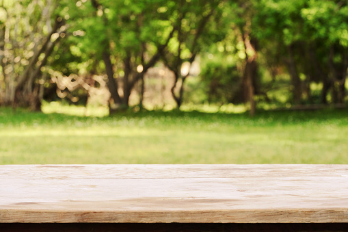 Empty Wooden Table with Defocused Green Lush Foliage at Background