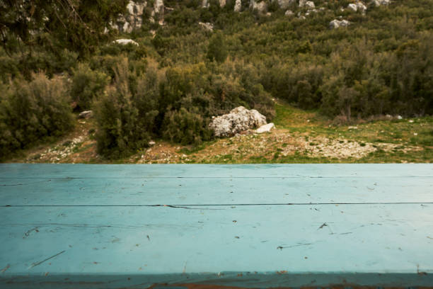 Empty Wooden Table with Defocused Green Lush Foliage at Background
