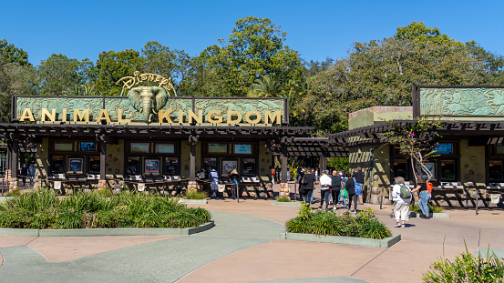 Bay Lake, Florida, USA- February  9, 2022: The entrance to Animal Kingdom in Orlando, Florida, USA. Animal Kingdom Theme Park is a zoological theme park at the Walt Disney World Resort.
