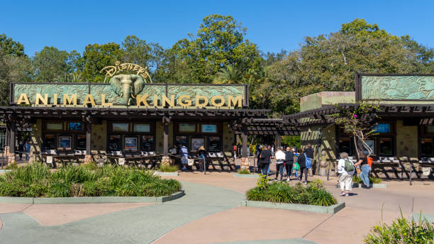 The entrance to Animal Kingdom in Orlando, Florida, USA. Bay Lake, Florida, USA- February  9, 2022: The entrance to Animal Kingdom in Orlando, Florida, USA. Animal Kingdom Theme Park is a zoological theme park at the Walt Disney World Resort. disney world stock pictures, royalty-free photos & images