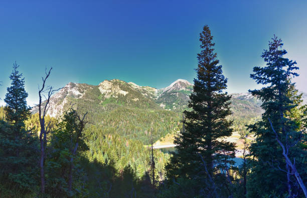 Tibble Fork hiking views from trail Lone Peak Wilderness Uinta Wasatch Cache National Forest, Rocky Mountains, Utah. United States.