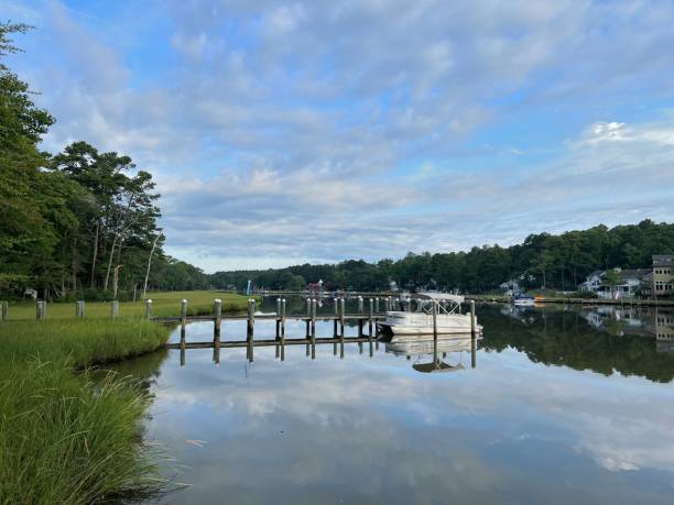 Pontoon Boat Docked in River - II