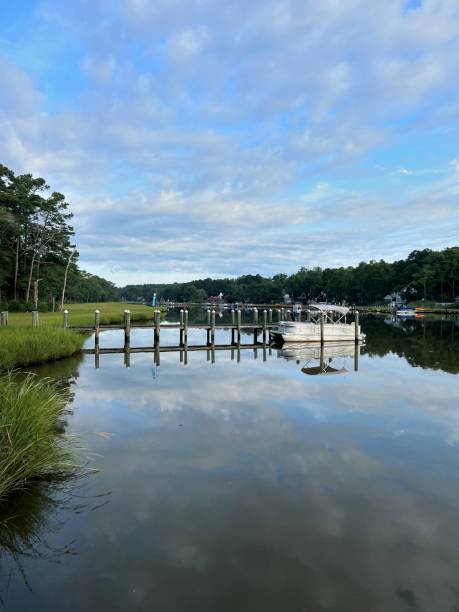 istock Pontoon Boat Docked in River - III 1614768267
