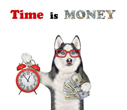 A dog husky in glasses is holding an alarm clock and a fan of dollars. Time is money. White background. Isolated.