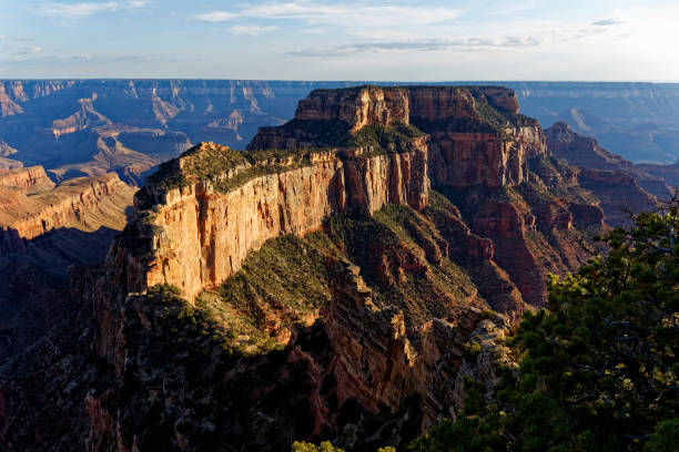 istock Grand Canyon North Rim 1614797138