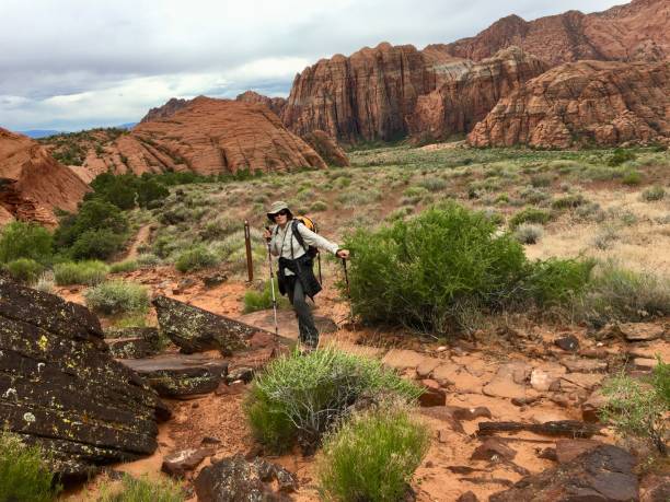 Along the Butterfly Trail This beautiful little trail winds around the west side of Petrified Dunes, leading to the West Canyon Overlook and lava tubes, and connects with other trails in Snow Canyon State Park, Saint George, Utah. snow canyon state park stock pictures, royalty-free photos & images