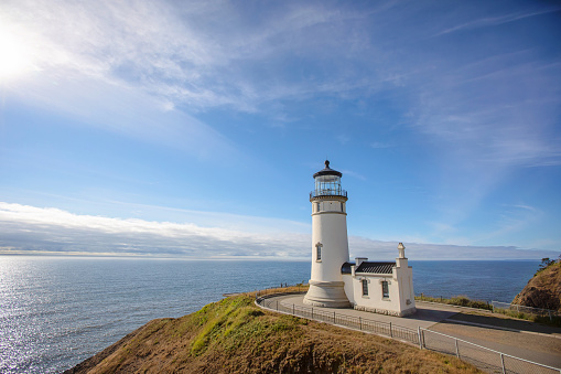 Nature views at Cape Disappointment Park, August 2023