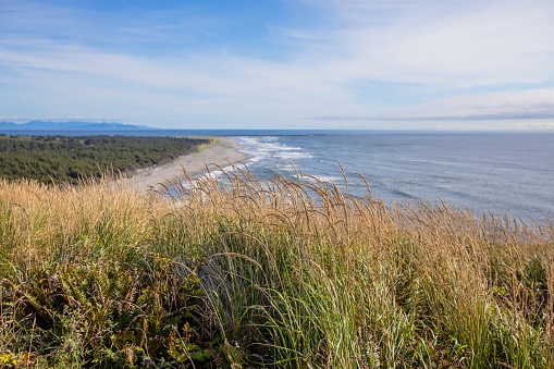 Nature views at Cape Disappointment Park, August 2023