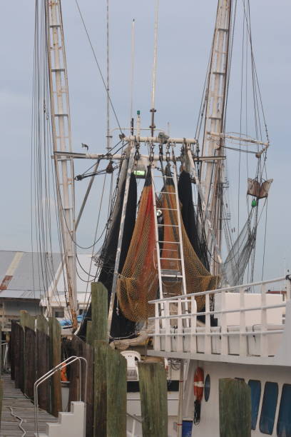 istock fishing part of life 1614872777