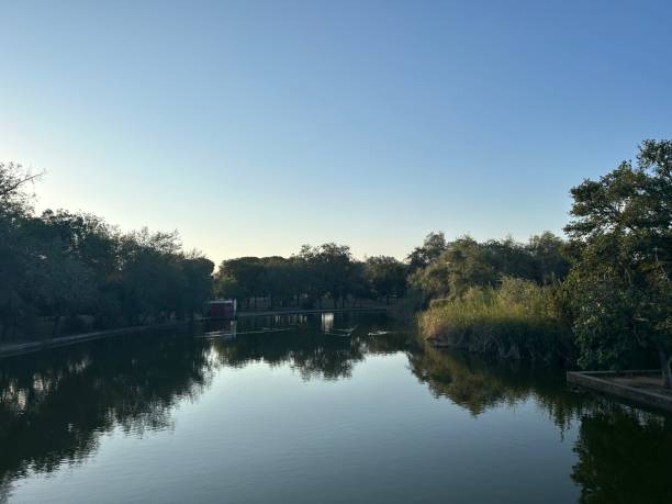 istock Lake in Alamillo Park 1614874957