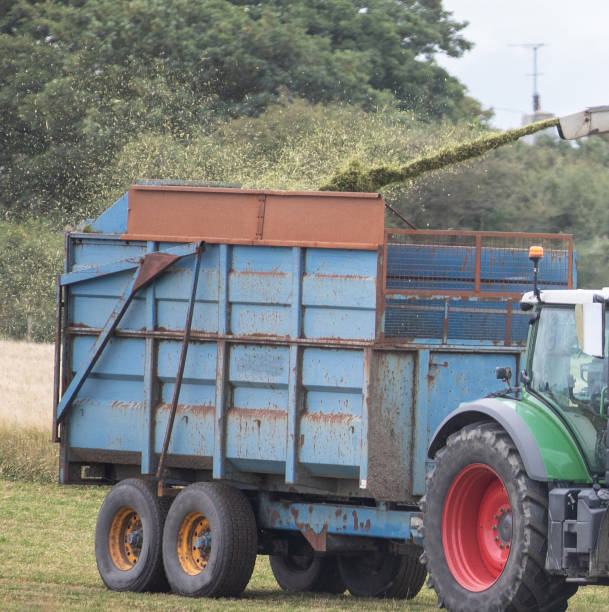 istock Tractor, trailer and Combine Harvester - harvesting grass from a rural field - being driven into the trailer for future sillage 1614898695