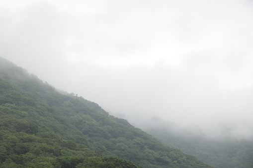 Dense forests cover the volcanic landscape of Noboribetsu Onsen in Hokkaido Prefecture. Spring morning with fog.