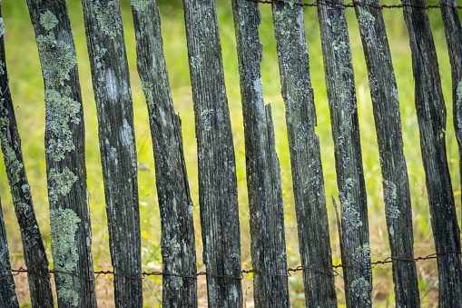 Close up mossy wooden fence