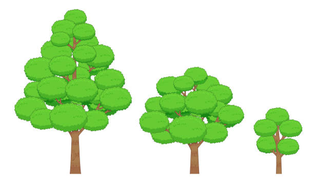ilustrações de stock, clip art, desenhos animados e ícones de collection of trees from small to large green tree - social media