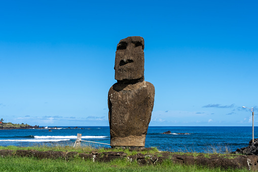 Two horses on the slope against the blue sky on Easter Island (Rapa Nui), Chile.