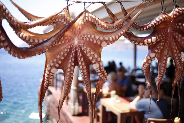 istock Octopus clean and ready to be cooked in a Mediterranean restaurant 1615009342