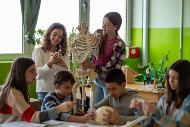 istock teenagers study human anatomy 1615040606