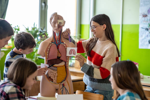 istock teenagers study human anatomy 1615044284