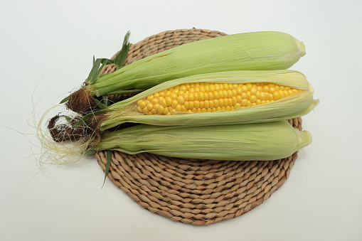 Ripe, freshly harvested sugar corn on a rattan plate