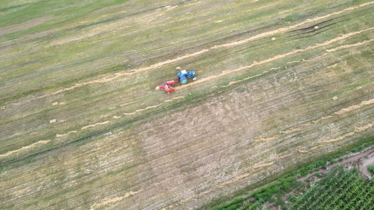 A baler makes a bale of hay in the field