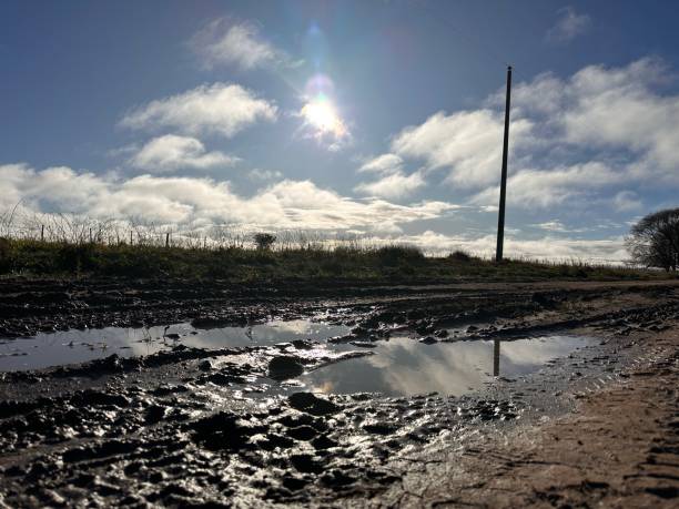 istock rolled on the wet road 1615124065
