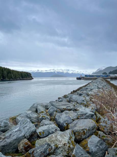 Edge of Alaskan Harbor