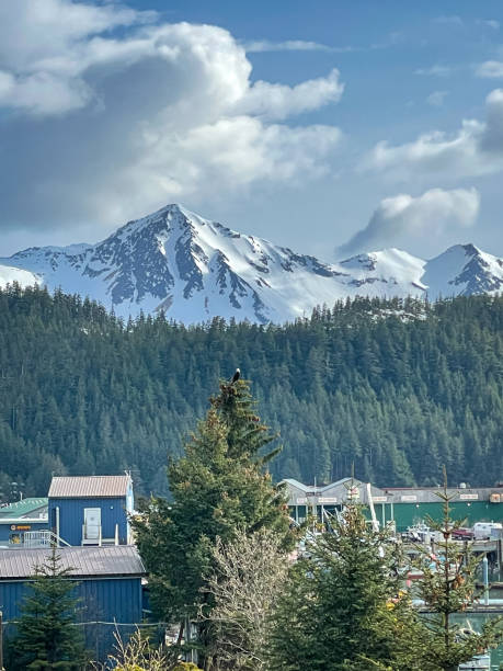 istock Alaska Fishing Town 1615138859