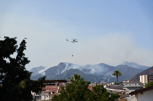 Forest fire in marmaris