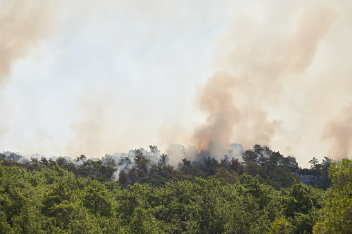 Forest fire in marmaris