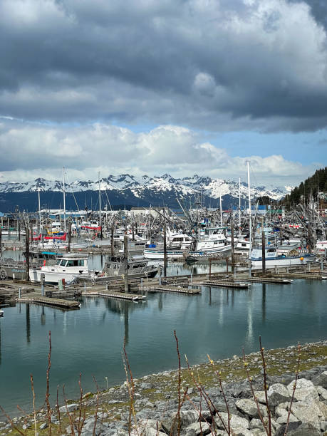 istock Boats Moored in Cordova Harbor 1615156775