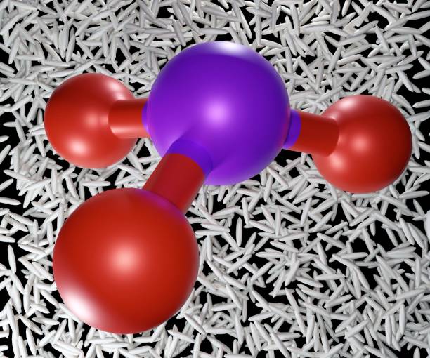 istock Arsenic atom of arsenite molecule in the rice grains 1615171630