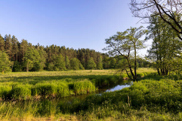 istock a small river in eastern Europe in the summer 1615191973