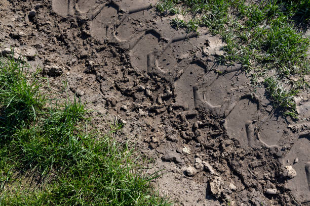 istock poor rural road without asphalt or other pavement 1615193562